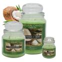 Cartone da 6 Candele Medie Coconut e Mint da 380 gr cad.