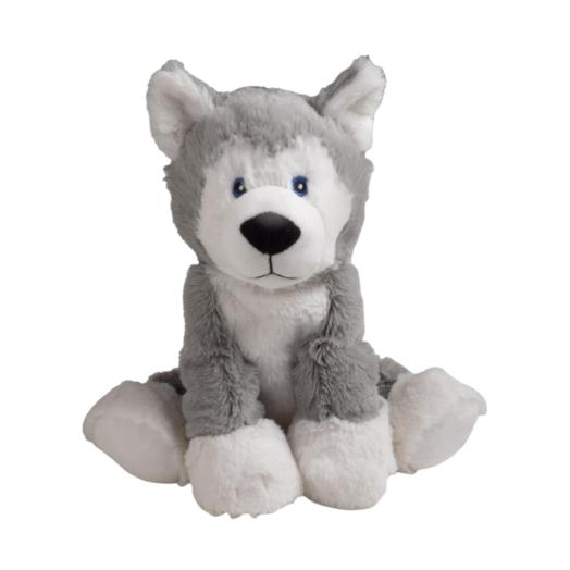 Puppy Husky Agnese l'Eschimese