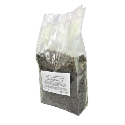 Grani Lungavita per il Benessere Intestinale  busta da 1 kg.