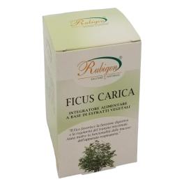 Capsule Ficus Carica,rafforza il Sistema Nervoso 400mg da 60 cps.