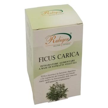 Capsule Ficus Carica,rafforza il Sistema Nervoso 400mg da 60 cps. Capsule Ficus Carica,rafforza il Sistema Nervoso 400mg da 60 cps.