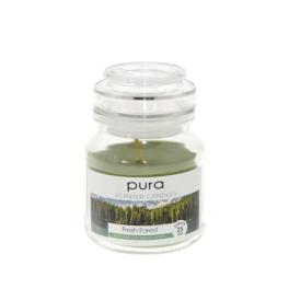 Espositore da 12 candele in barattolo di vetro D. cm 7xh. 10,2 (gr. 130) fragranza fresh forest di colore verde