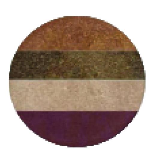 Ombretto Quartetto BIO Rose & Gold n.201
