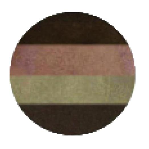 Ombretto Quartetto Bio Natural Tones n.203