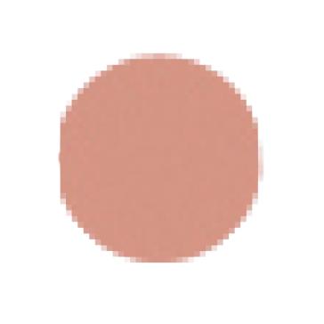 Cipria Compatta Bio Beige Scuro n.433