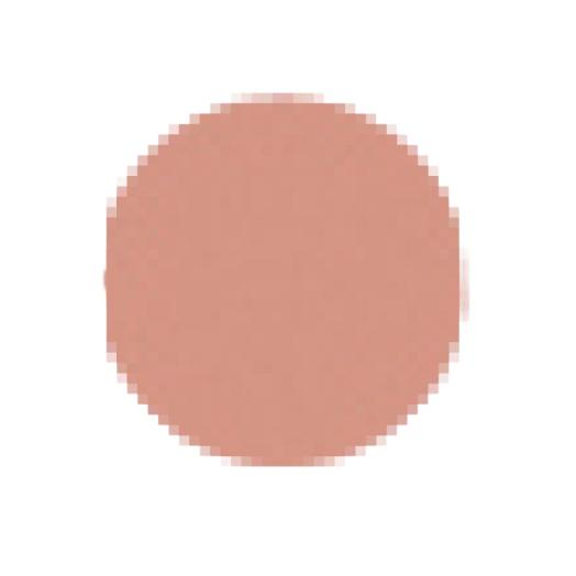 Cipria Compatta Bio Beige Scuro n.433