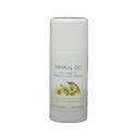 arnikagel 30% 100ml airless