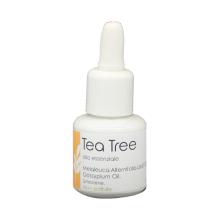 essential mind's verde 15ml TEA TREE