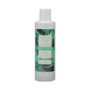 scrub viso 250ml FRESCO (prof. Menta Acquatica)