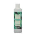 tonico viso 250ml FRESCO (prof. Menta Acquatica)