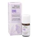 Sinergia di oli essenziali di Canapa CBD e Lavanda 5ml.