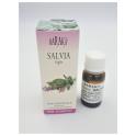 Olio Essenziale di Salvia da 12 ml