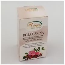 Capsule Rosa Canina 60op 400mg