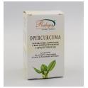 Capsule Curcuma Articolazioni 400mg da 60 cps.