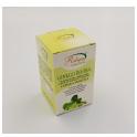 Capsule Ginko Biloba Memoria Concentrazione 400mg da 60 cps.