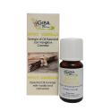 Sinergia di Oli Essenziali Spicy Vanilla da 10 ml