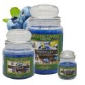 Cartone da 4 Candele Grandi Blueberry Ice da 580 gr cad.