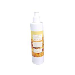 bagno natura mani 250ml ARANCIA E MIELE