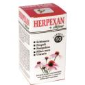 Capsule Herpexan Difese dell'Organismo 50 cps.