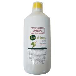 Linfa di Betulla Drenante da diluire 1 lt.