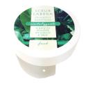 scrub labbra 50ml FRESCO (prof. Menta Acquatica)