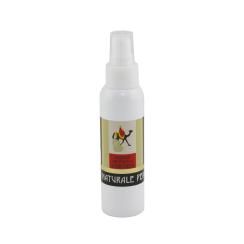 Vapo spray ambienti Classico carta di Eritrea ml.100