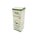 Olio Essenziale Eucalipto Bio 10ml
