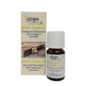 Sinergia di Oli Essenziali Spicy Vanilla da 10 ml