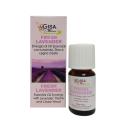 Sinergia di Oli Essenziali Fresh Lavender da 10 ml