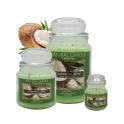 Cartone da 6 Candele Medie Coconut e Mint da 380 gr cad.